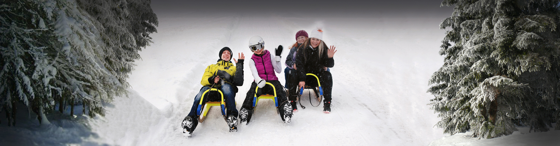 Night sledging